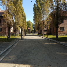 20211005_095509.jpg