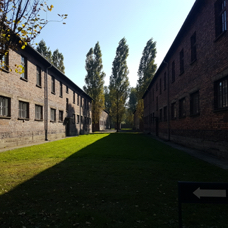 20211005_111352.jpg