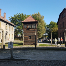 20211005_111415.jpg