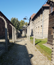 20211005_111437.jpg