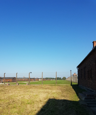 20211005_115921.jpg